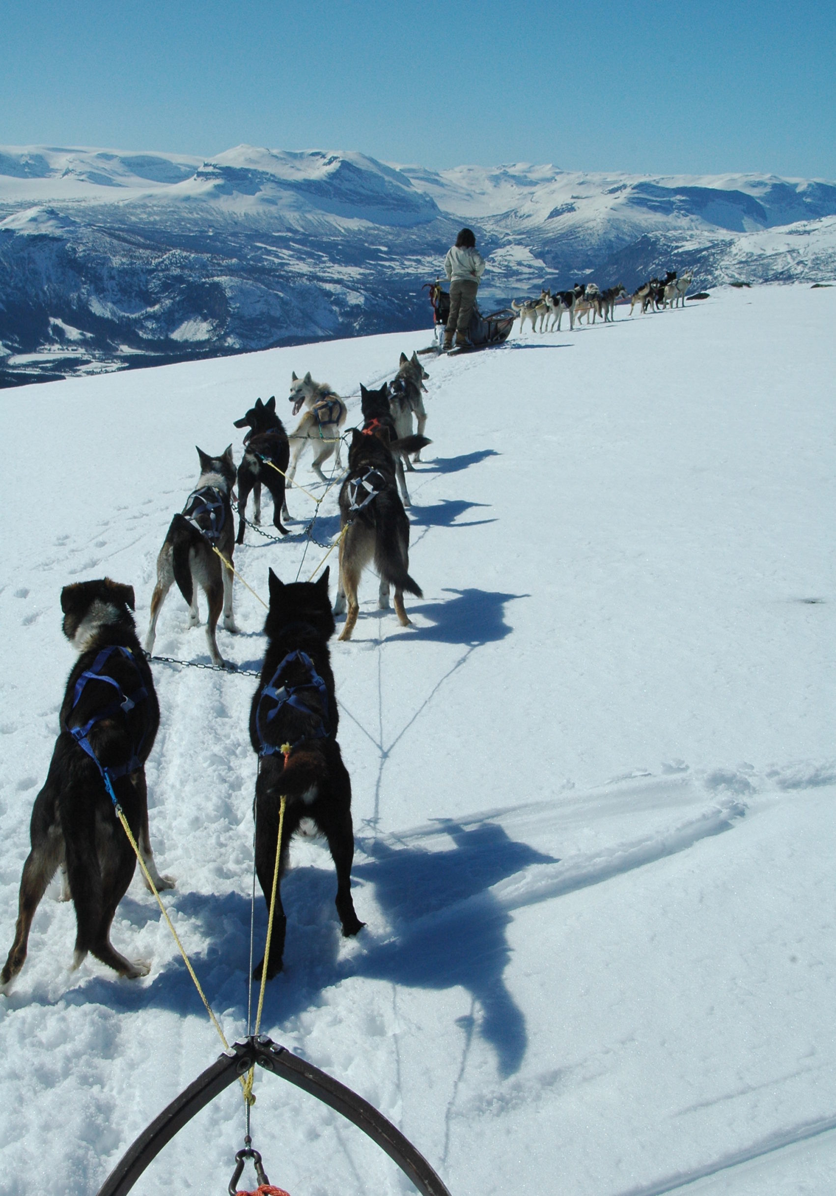 nordicwinter_Hundeschlittentour_Norwegen_Huskytour_NOR120_036